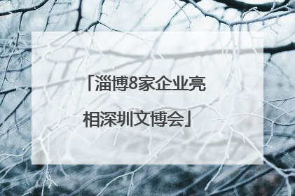 淄博8家企业亮相深圳文博会