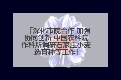 深化市院合作 加强协同创新 中国农科院作科所调研石家庄小麦选育种等工作