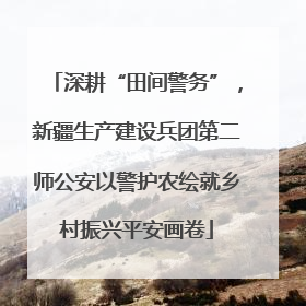 深耕“田间警务”，新疆生产建设兵团第二师公安以警护农绘就乡村振兴平安画卷