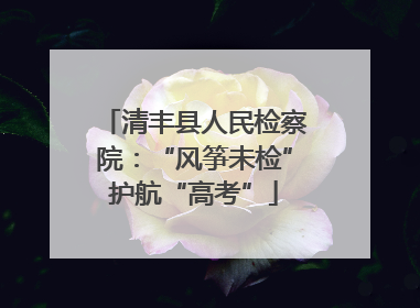 清丰县人民检察院：“风筝未检”护航“高考”