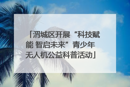 渭城区开展“科技赋能 智启未来”青少年无人机公益科普活动