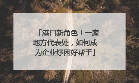 港口新角色！一家地方代表处，如何成为企业纾困好帮手