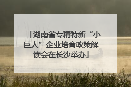 湖南省专精特新“小巨人”企业培育政策解读会在长沙举办