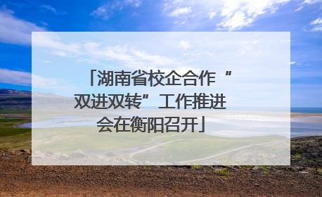 湖南省校企合作“双进双转”工作推进会在衡阳召开