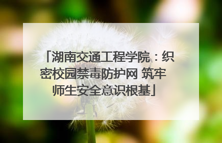 湖南交通工程学院：织密校园禁毒防护网 筑牢师生安全意识根基