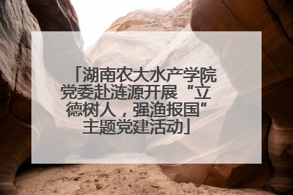 湖南农大水产学院党委赴涟源开展“立德树人，强渔报国”主题党建活动