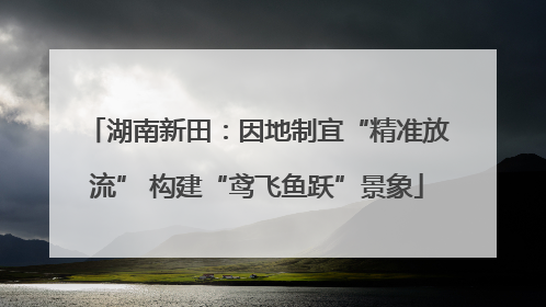 湖南新田：因地制宜“精准放流” 构建“鸢飞鱼跃”景象