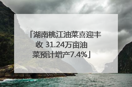 湖南桃江油菜喜迎丰收 31.24万亩油菜预计增产7.4%