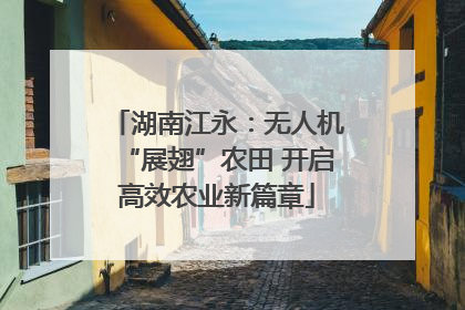 湖南江永：无人机“展翅”农田 开启高效农业新篇章