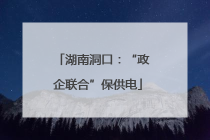 湖南洞口：“政企联合”保供电