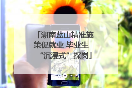 湖南蓝山精准施策促就业 毕业生“沉浸式”探岗