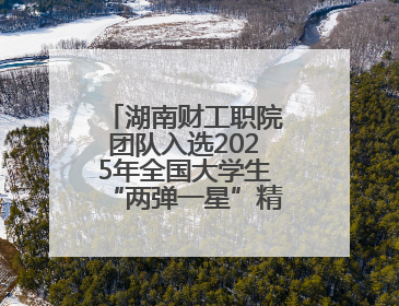 湖南财工职院团队入选2025年全国大学生“两弹一星”精神志愿宣讲团