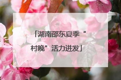 湖南邵东夏季“村晚”活力迸发
