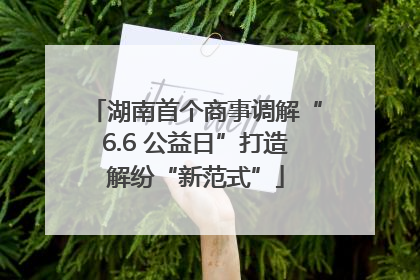 湖南首个商事调解“6.6 公益日”打造解纷“新范式”