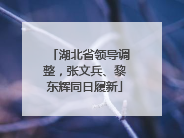 湖北省领导调整，张文兵、黎东辉同日履新