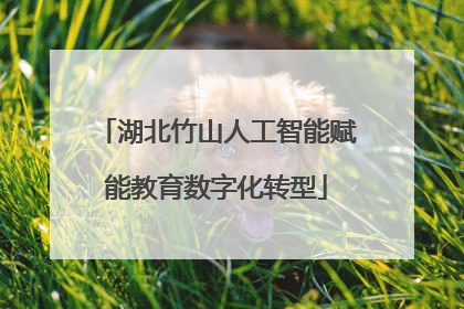 湖北竹山人工智能赋能教育数字化转型