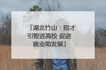 湖北竹山：招才引智进高校 促进就业助发展