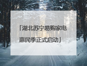 湖北苏宁易购家电惠民季正式启动