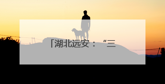 湖北远安：“三产融合”激活乡村振兴新动能