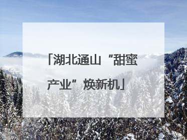 湖北通山“甜蜜产业”焕新机