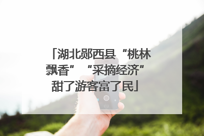 湖北郧西县“桃林飘香”“采摘经济”甜了游客富了民