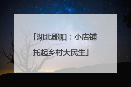 湖北郧阳：小店铺托起乡村大民生