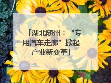 湖北随州：“专用汽车走廊”掀起产业新变革