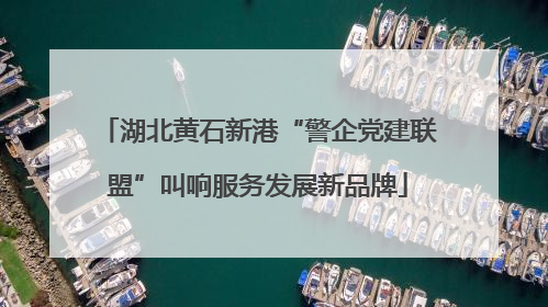 湖北黄石新港“警企党建联盟”叫响服务发展新品牌