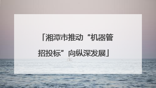 湘潭市推动“机器管招投标”向纵深发展