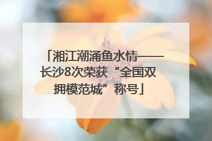 湘江潮涌鱼水情——长沙8次荣获“全国双拥模范城”称号