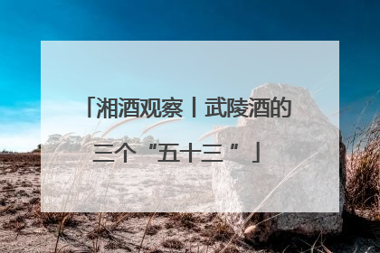 湘酒观察丨武陵酒的三个“五十三 ”