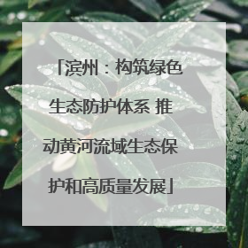 滨州：构筑绿色生态防护体系 推动黄河流域生态保护和高质量发展