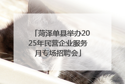 菏泽单县举办2025年民营企业服务月专场招聘会