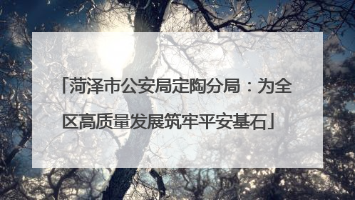 菏泽市公安局定陶分局：为全区高质量发展筑牢平安基石