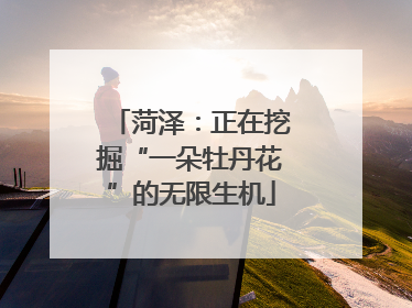 菏泽：正在挖掘“一朵牡丹花”的无限生机