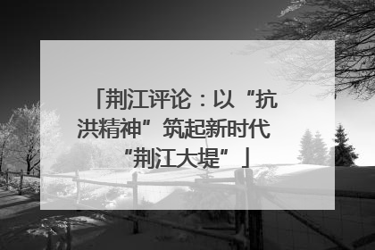荆江评论：以“抗洪精神”筑起新时代“荆江大堤”