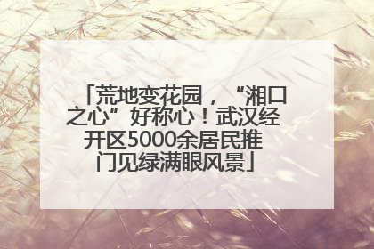 荒地变花园，“湘口之心”好称心！武汉经开区5000余居民推门见绿满眼风景
