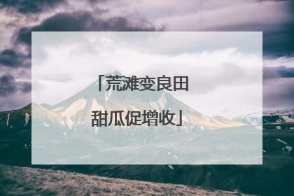 荒滩变良田 甜瓜促增收