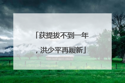 获提拔不到一年，洪少平再履新
