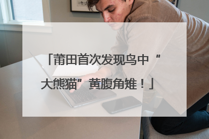 莆田首次发现鸟中“大熊猫”黄腹角雉！