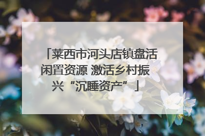 莱西市河头店镇盘活闲置资源 激活乡村振兴“沉睡资产”