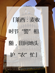 莱西：麦收时节“警”相随，田间地头护“农”忙