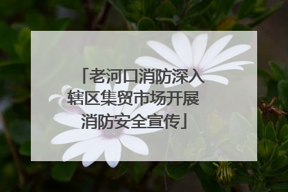 老河口消防深入辖区集贸市场开展消防安全宣传