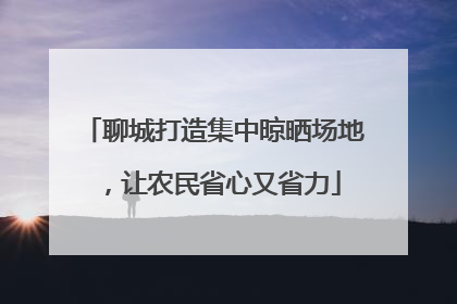 聊城打造集中晾晒场地，让农民省心又省力