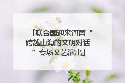 联合国迎来河南“跨越山海的文明对话”专场文艺演出