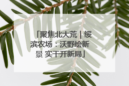 聚焦北大荒｜绥滨农场：沃野绘新景 实干开新局