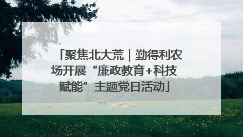 聚焦北大荒｜勤得利农场开展“廉政教育+科技赋能”主题党日活动