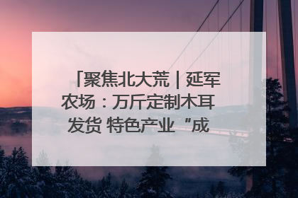 聚焦北大荒｜延军农场：万斤定制木耳发货 特色产业“成绩单”亮眼