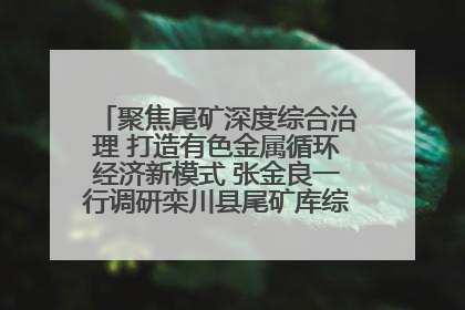 聚焦尾矿深度综合治理 打造有色金属循环经济新模式 张金良一行调研栾川县尾矿库综合治理工作