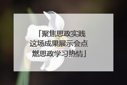 聚焦思政实践 这场成果展示会点燃思政学习热情
